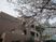 桜が映える建物外観  
