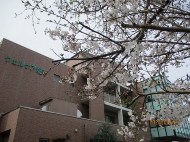 桜が映える建物外観 外観   桜の枝越しに建物全体が見えます。落ち着いた外観で、春らしい雰囲気が感じられます。