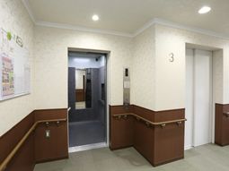 清潔な廊下とエレベーター