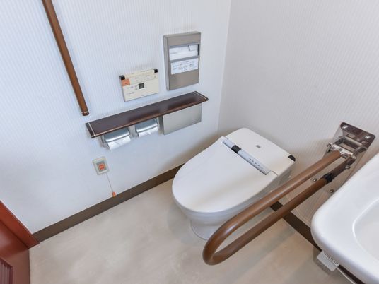 壁には縦の手すりが設置されており、利用者の立ち座りに利用することができる。また、温水洗浄の機能が付いていて呼び出しボタンも備えられている。