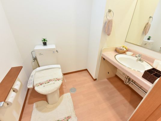 清潔なトイレとう洗面台