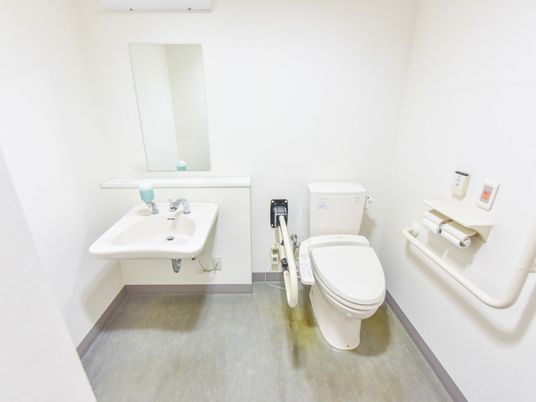 トイレは広く車椅子での利用も問題ない。壁や便器横には手すりあり。手洗い場や鏡もあり清潔に利用ができる。