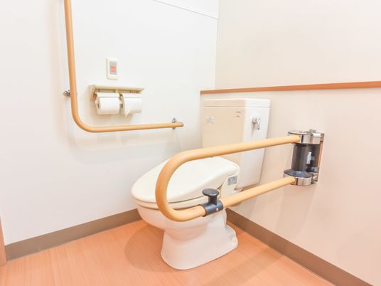 私室のトイレは小さいながら手すりも設置されており利用しやすい。便器横の手すりは可動式。壁にも手すりあり。