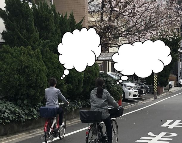 自転車で向かう職員の背中