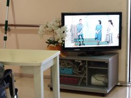 リビングのテレビと花