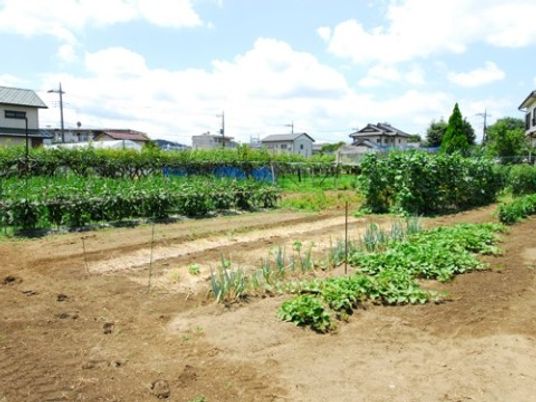 施設の庭園