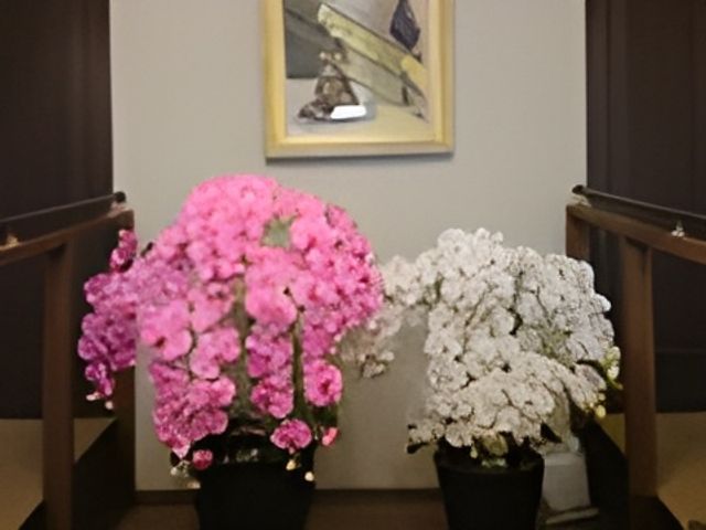 華やかな花が飾られた廊下 廊下 美しい蘭の花が飾られた廊下は、落ち着いた雰囲気を演出しています。