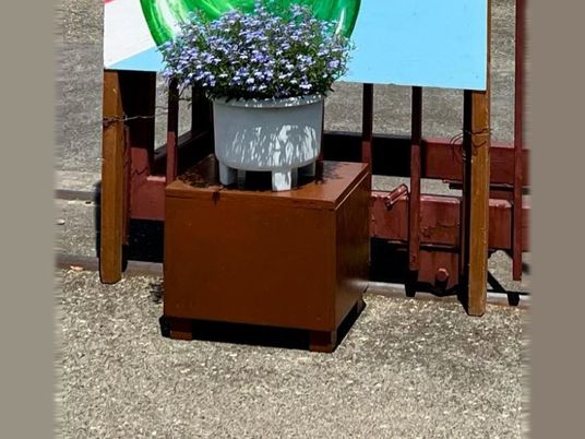 鉢植えのある中庭  