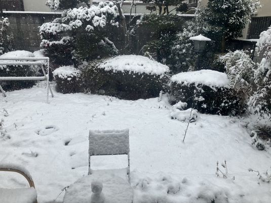 雪景色の中庭  
