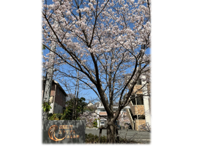 桜の木がある外観  