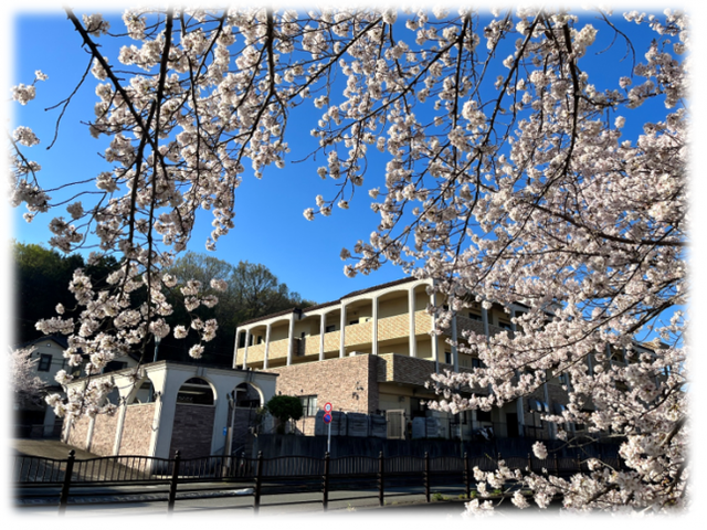 桜に囲まれた建物外観  