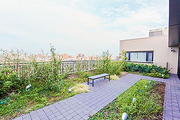 開放的な空間の庭