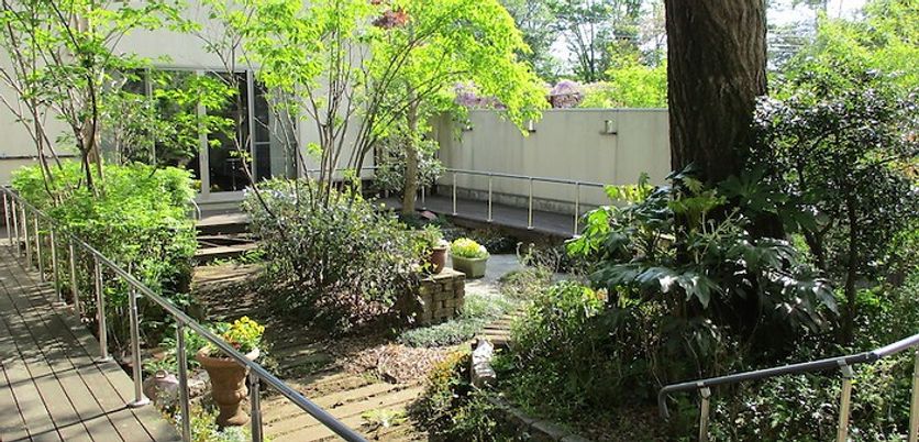 緑に囲まれた庭