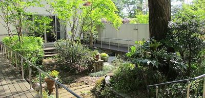 緑に囲まれた庭