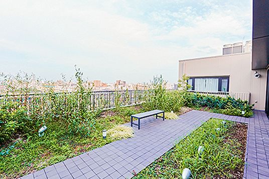 屋上庭園