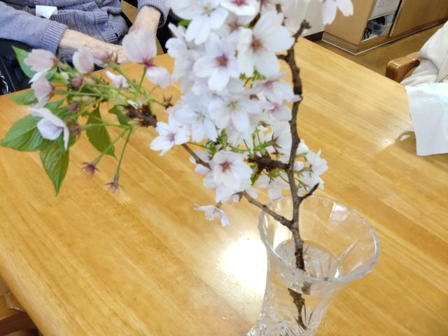 お花