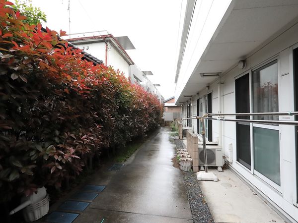 建物沿いに続く緑の小道