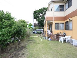 緑豊かな外の空間