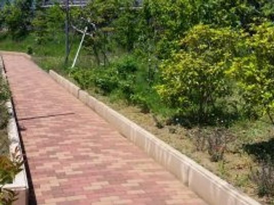 緑に囲まれた庭の小道  