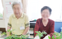 舟渡高齢者在宅サービスセンター 作業療法士（日勤専従）（正社員）
