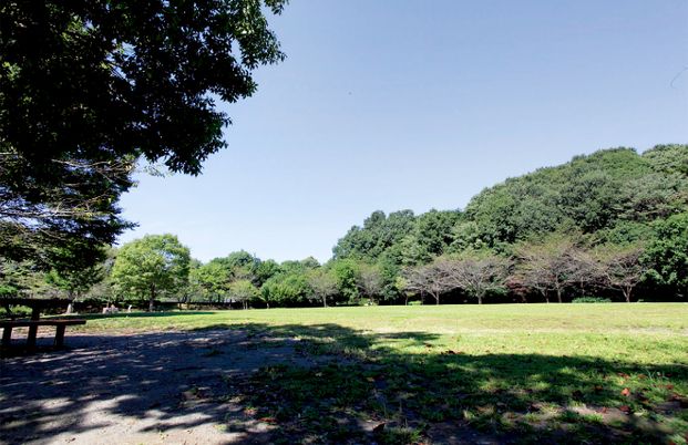 緑豊かな庭園