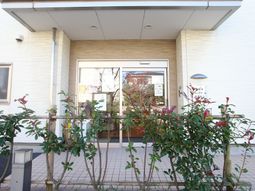 入口前の緑あふれるエントランス