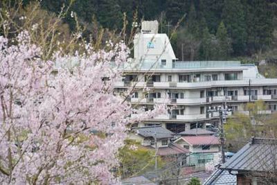 桜を望む建物外観