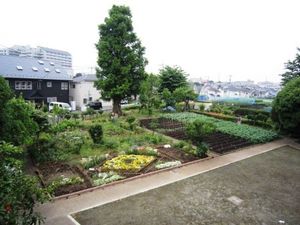 緑豊かな庭園
