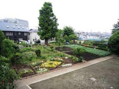 緑豊かな庭園