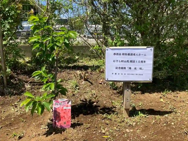 記念植樹のある庭 庭   木々に囲まれた庭に、記念植樹を示す看板が立っています。季節を感じられる落ち着いた空間です。