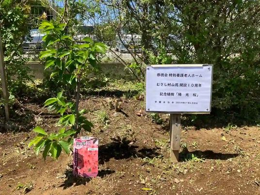 記念植樹の庭  