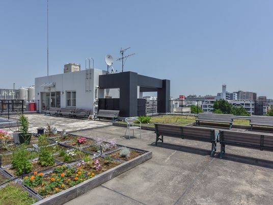 中庭の植物とベンチ