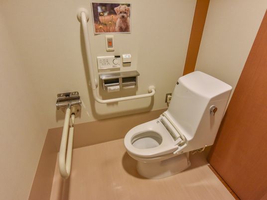施設の写真 トイレの周りには可動式の手すりと壁に固定された手すりが取り付けられている。トイレットペーパーホルダーは2つ備え付けられている。