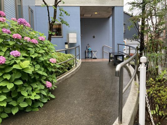 紫陽花の咲くスロープ