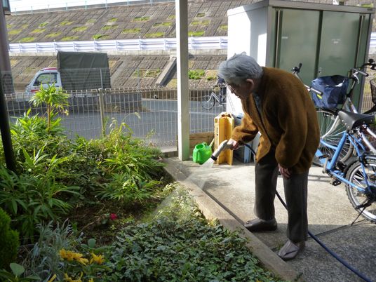 緑あふれる庭の手入れ