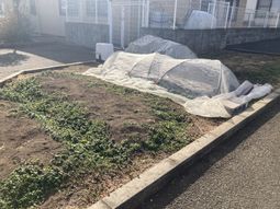 植え込みの庭