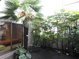 緑豊かな休憩スペース