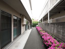 清潔な廊下と花壇