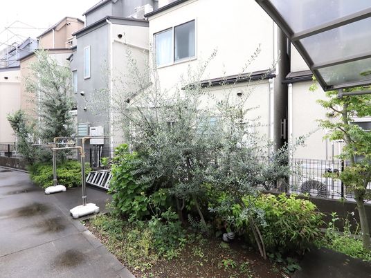 建物と植物の外観