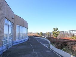 空と緑の見えるテラス