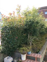 緑豊かな庭の風景