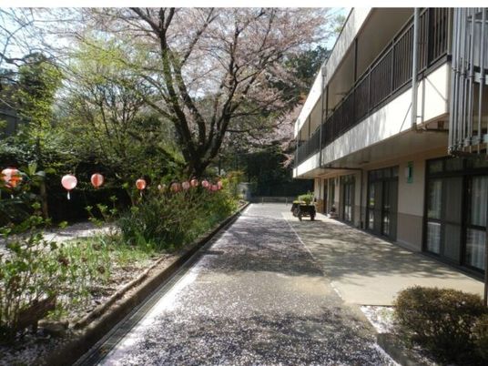 桜が見える中庭  