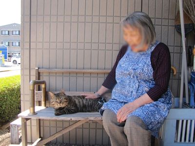 猫とベンチでのひととき