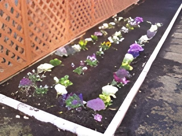 カラフルな花の中庭 花壇 色とりどりの花が植えられた和やかな中庭が、ゆったりとした時間を過ごせる場を提供しています。