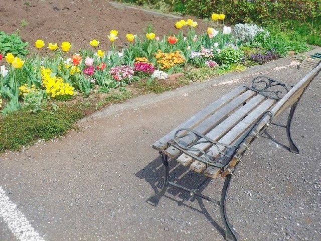 花壇横のベンチ庭 庭   色とりどりの花が咲く花壇のそばに、ベンチが置かれています。散歩の途中にひと息つきやすい雰囲気です。