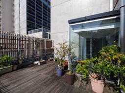 屋外の木々とテラス