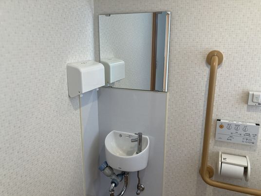 手洗い場と手すりのトイレ