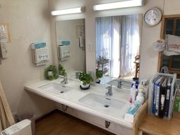 植物が置かれた洗面台