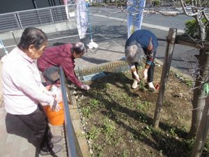 庭園での園芸活動