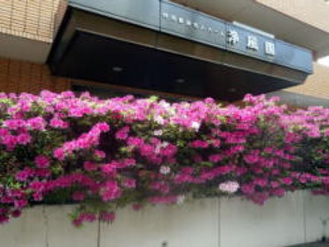 緑豊かなエントランス エントランス 色鮮やかな花々が迎えるエントランス。訪れる方々に安らぎを提供しています。